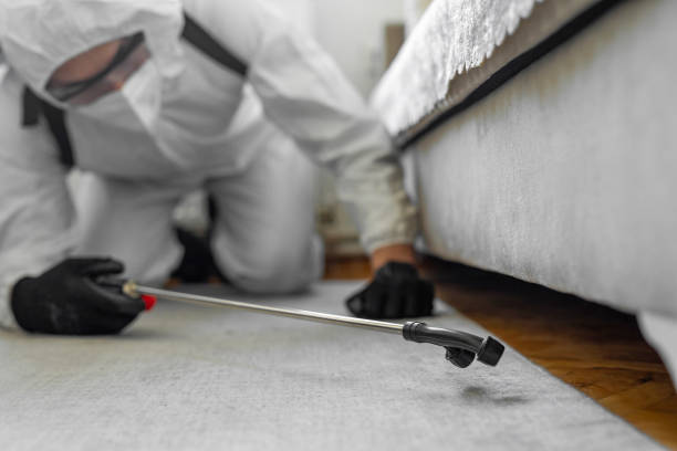 Professional Cockroach Control technician working in South Bloomfield, OH