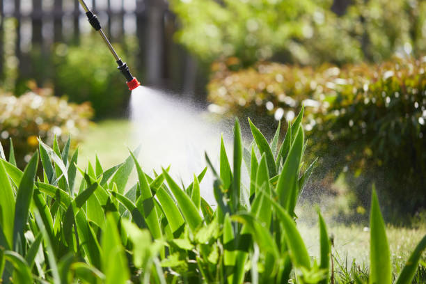 24/7 Emergency Cockroach Control experts in South Bloomfield, OH