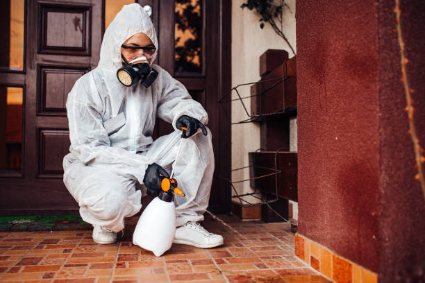 Reliable Cockroach Control contractor in South Bloomfield, OH by Nex Pest Control