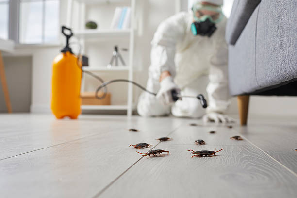 Trusted Fumigation Services service in South Bloomfield, OH - Nex Pest Control