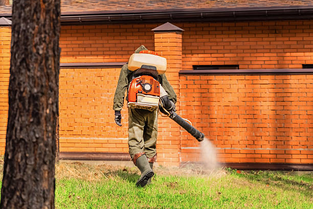 Trusted Termite Control service in South Bloomfield, OH - Nex Pest Control